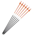 6pcs Orange