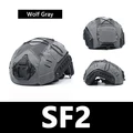 Sf2-Wolf Grey