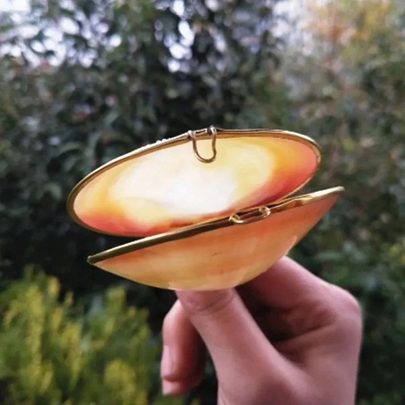 Lawaia-Mini bolso de una capa para mujer, bolso de concha cruda para monedero, textura Natural, hombro rosa con cadena, accesorios de moda - imagen 3