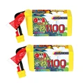 8S 1100mAh 160C XT60