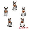 PE13886CT