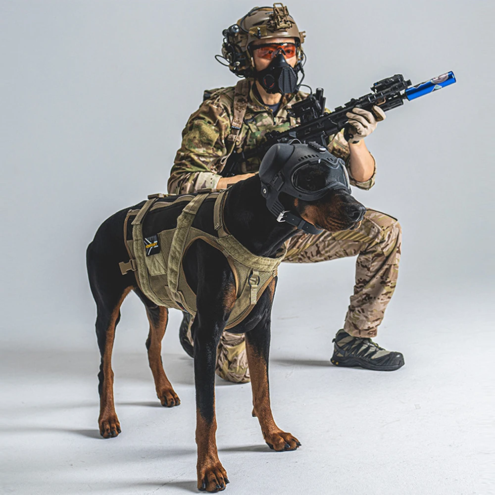 Casco táctico K9 de entrenamiento de caza militar para perros, casco protector de motocicleta para mascotas con gafas - imagen 5