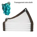 transparent cloth