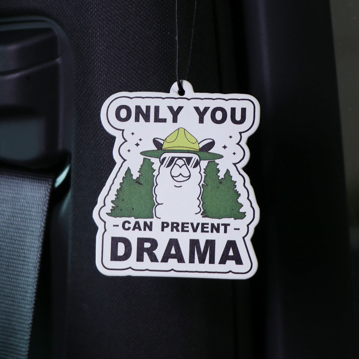 Tabletas de aromaterapia para coche de Alpaca, colgante de fragancia Interior para coche, citas divertidas, ambientador, decoración colgante para espejo retrovisor - imagen 2