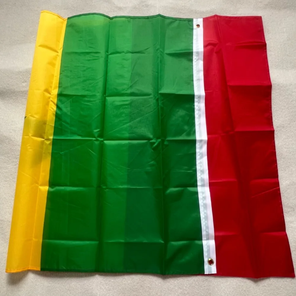 Bandera YIXIN FIagSenegal 90x150cm 3x5 pies BANDERA de fútbol súper poli Banderas colgantes de poliéster para interiores y exteriores - imagen 3