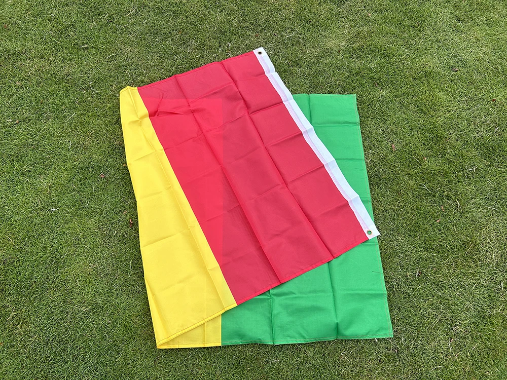 Bandera del cielo bandera de Guinea 3x5 pies 90*150cm poliéster colgante bandera nacional de Guinea África para publicidad decoración del hogar Banner - imagen 4