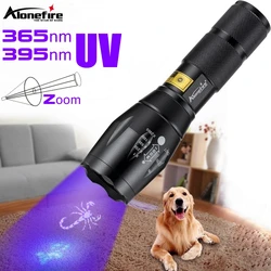 Linterna LED UV con Zoom, marcador de tinta Invisible de 365nm y 395nm, orina para perros y gatos, tiña, dinero, escorpión, luz fluorescente, uso AAA 18650