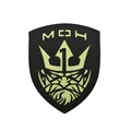 Luminous patch 13