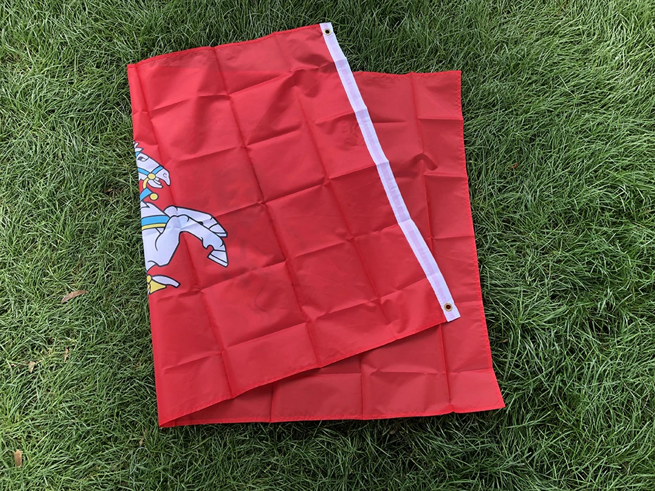 BANDERA DE CIELO Bandera de la Lituania de 3X5Fts (estado) Banner de poliéster Banner de invitación 90X150cm Bandera de invitación de Lituania Lituana - imagen 5