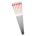 6pcs Red