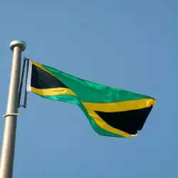 Bandera de Jamaica para exterior – tejido resistente