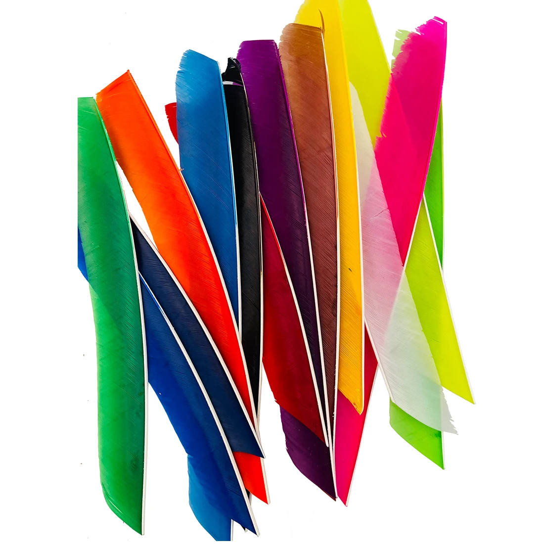 Plumas de flecha de longitud completa de 18-25CM, plumas de tiro con arco de pavo Real, accesorios de arco DIY, ala derecha, 100 piezas - imagen 3