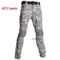 pants ACU