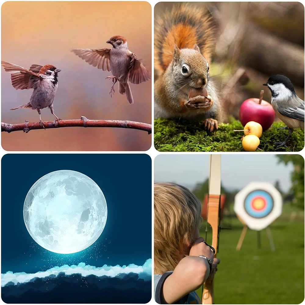 ASKCO-Prisma de doble enfoque HD, Prisma BAK4 con trípode para observación de aves, tiro de objetivo, caza de Vida Silvestre, 20-60X80 - imagen 2