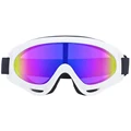 White Ski Goggle