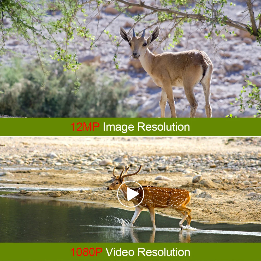 Minicámara con Visión Nocturna, Cámara Resistente al Agua, 1080 P, 12 MPX, IR LED, Alcance hasta 65 Pies, Trampa Fotográfica para la Naturaleza, Ideal para Caza y Exteriores - imagen 5