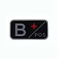 Gray B POS