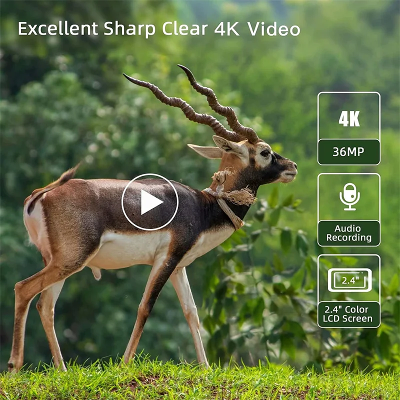 Cámara inalámbrica para rastreo de Vida Silvestre, videocámara de caza HC812A, 36MP4K, 940NM, IR, visión nocturna, fototrampas, seguimiento, vigilancia - imagen 2