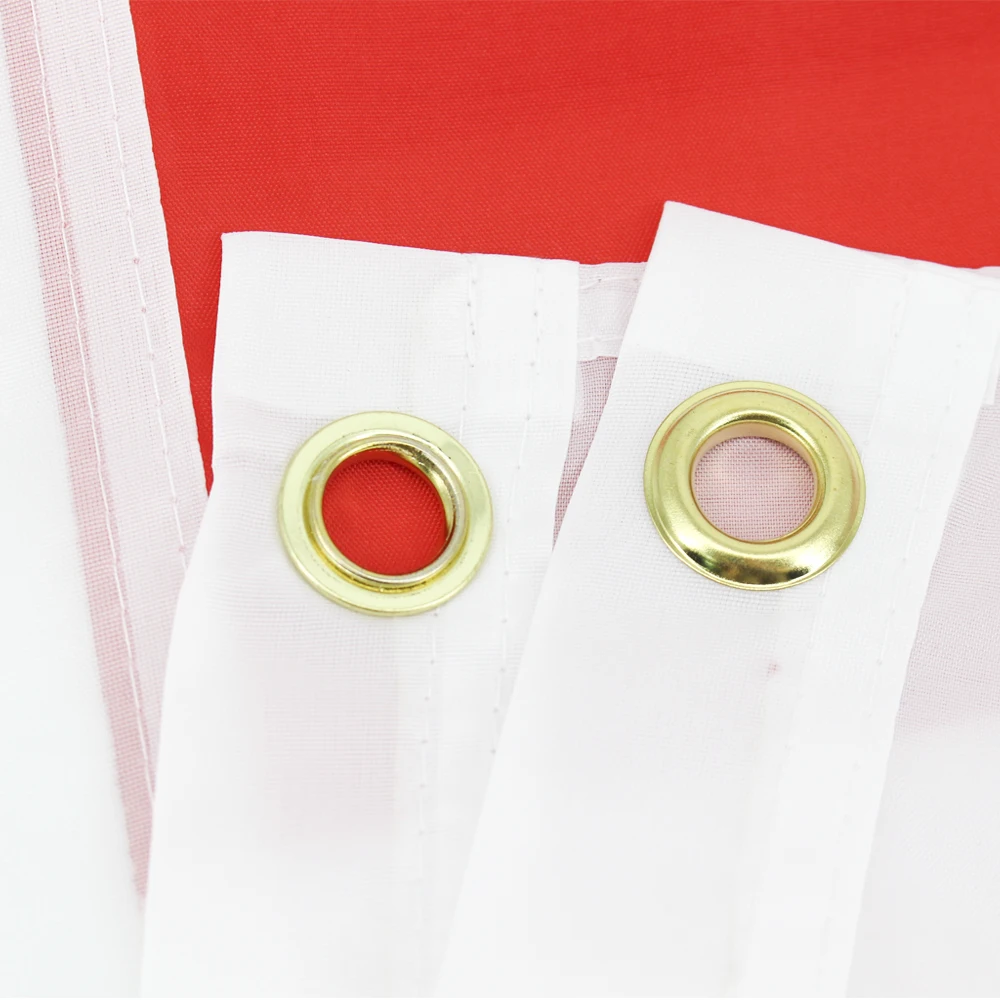 FLAGLINK 90x150cm bandera colgante de poliéster geo ge Georgia para decoración del hogar - imagen 5