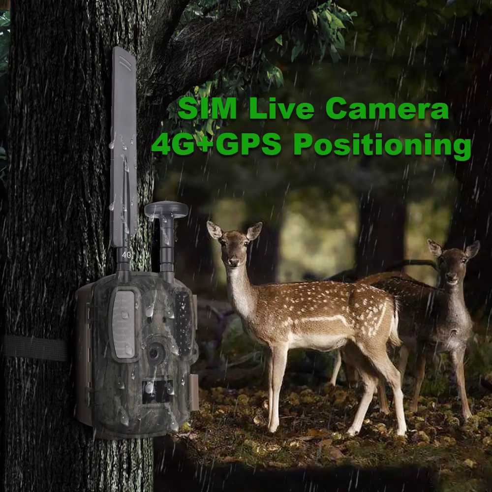 Cámara de caza 4G visión nocturna GPS – Trampa fotográfica