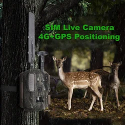 Cámara de caza 4G visión nocturna GPS – Trampa fotográfica