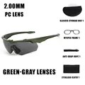 GREEN-GRAY LENS