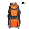 60L orange