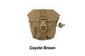 Coyote Brown