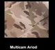 Multicam ariod