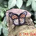 small butterfly7