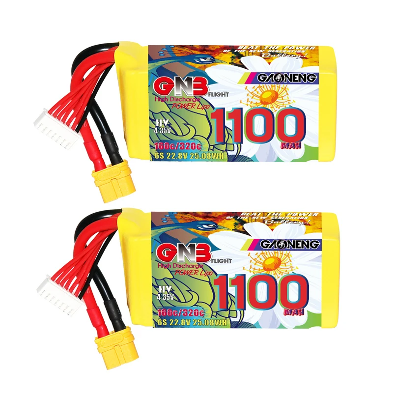 6S 1100mAh 160C XT60