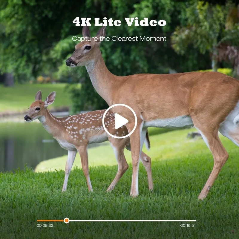 SunTekCam 50MP 4K cámara de rastreo de caza con visión nocturna IP65 impermeable 0,2 s tiempo de disparo foto trampa cámara de juego salvaje - imagen 3