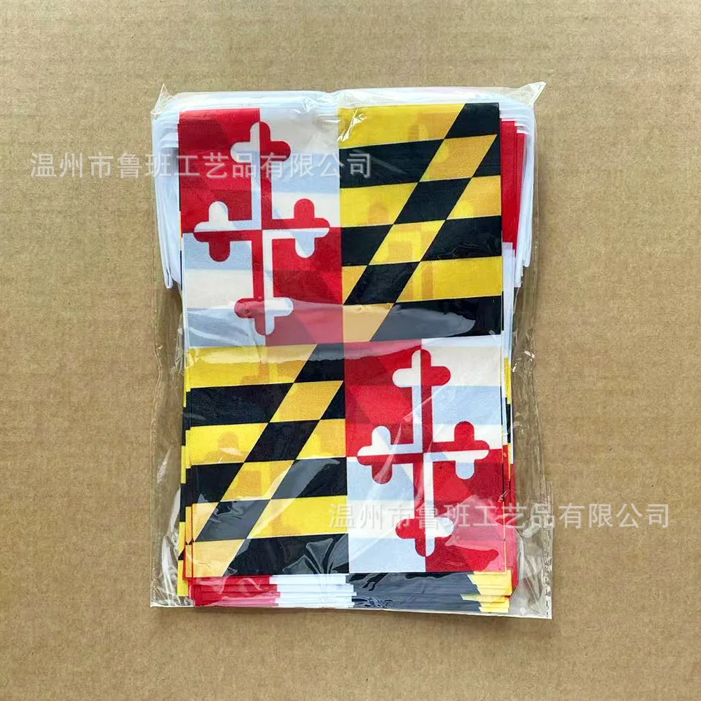 Guirnalda de banderines Maryland multicolor para festivales y fiestas - imagen 3