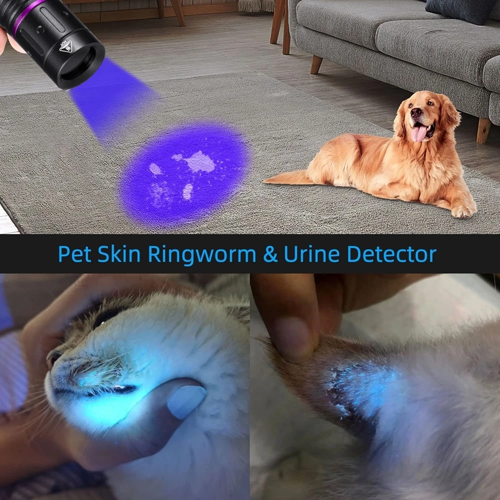 Mini linterna UV de 365nm/395nm, linterna ultravioleta, linterna para esmalte de uñas, mineral de dinero, fluorescente, mancha para perros y mascotas, control de tiña - imagen 4