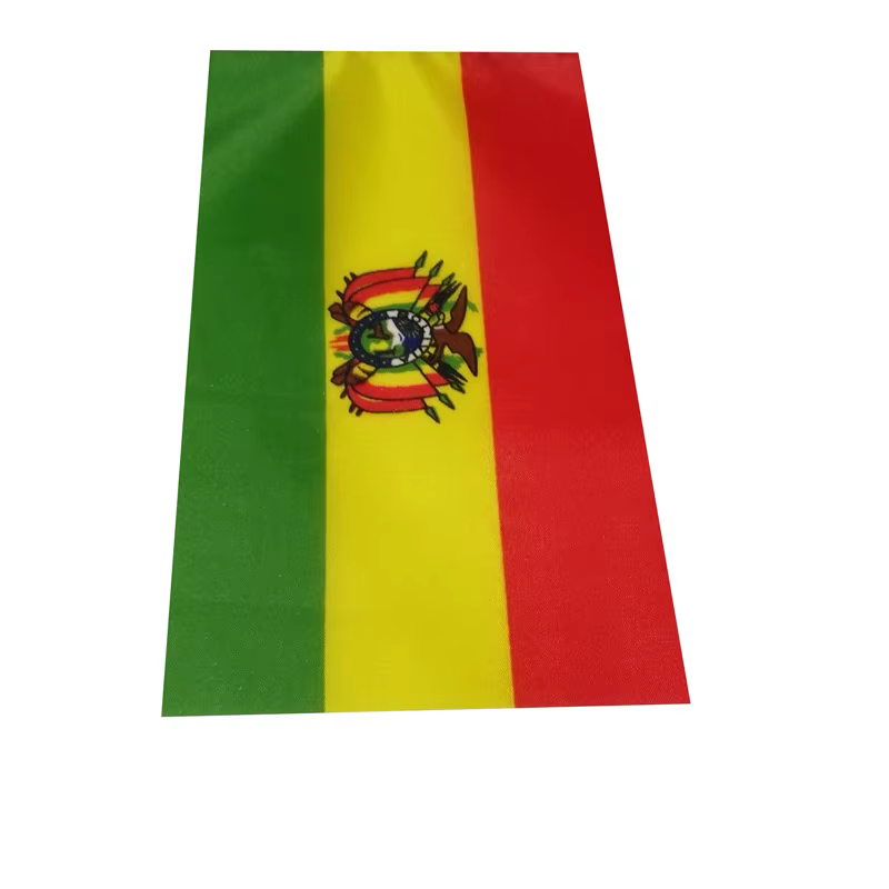 Bandera Argentina agitadora de mano – Exterior y eventos - imagen 4