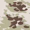 Japan Desert Camo