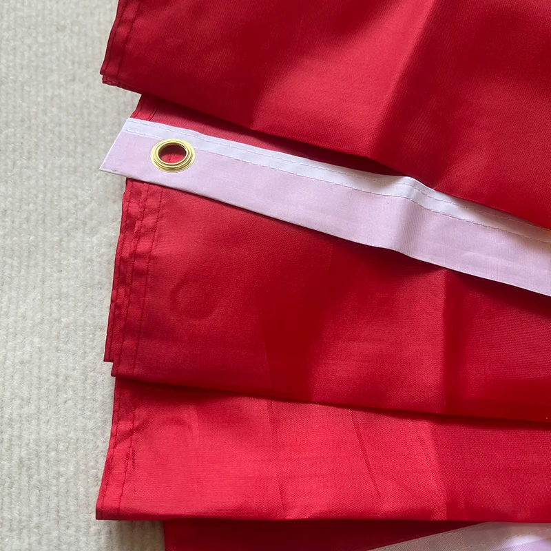 Bandera de España de 90x150cm, bandera española de ES, bandera de fútbol súper poli, interior y exterior para celebración, banderas grandes - imagen 4