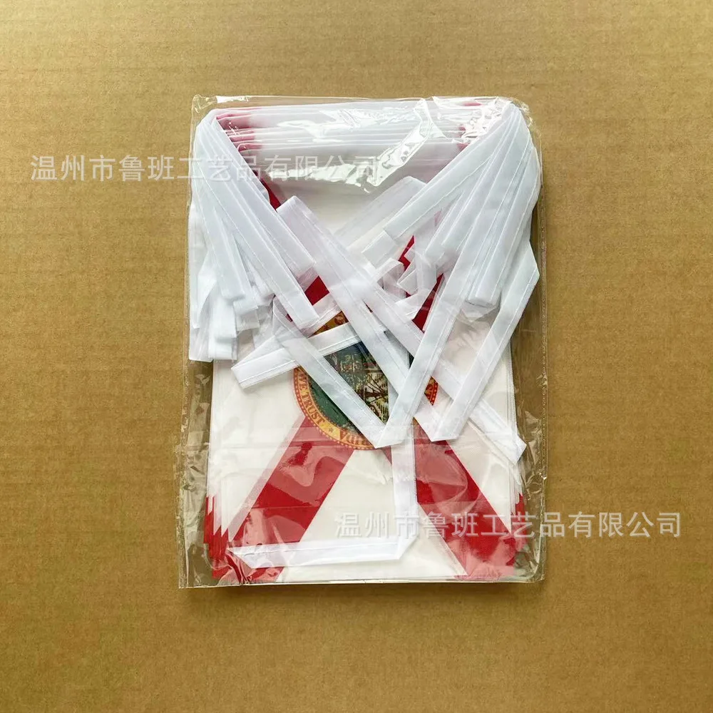 BANDERA DE SKY 14x21 cm 20 unids/lote banderines de Florida banderines de cadena de estado de EE. UU. Banner para decoración de fiesta y Festival - imagen 2