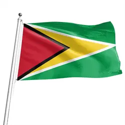 Bandera nacional de Guyana – Poliéster 150x90cm