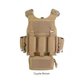 Coyote Brown