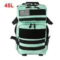 45L Green
