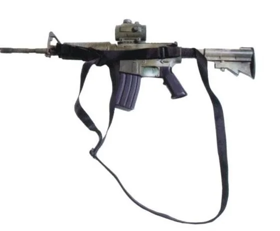 Eslinga - Elección profesional