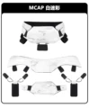 MCAP