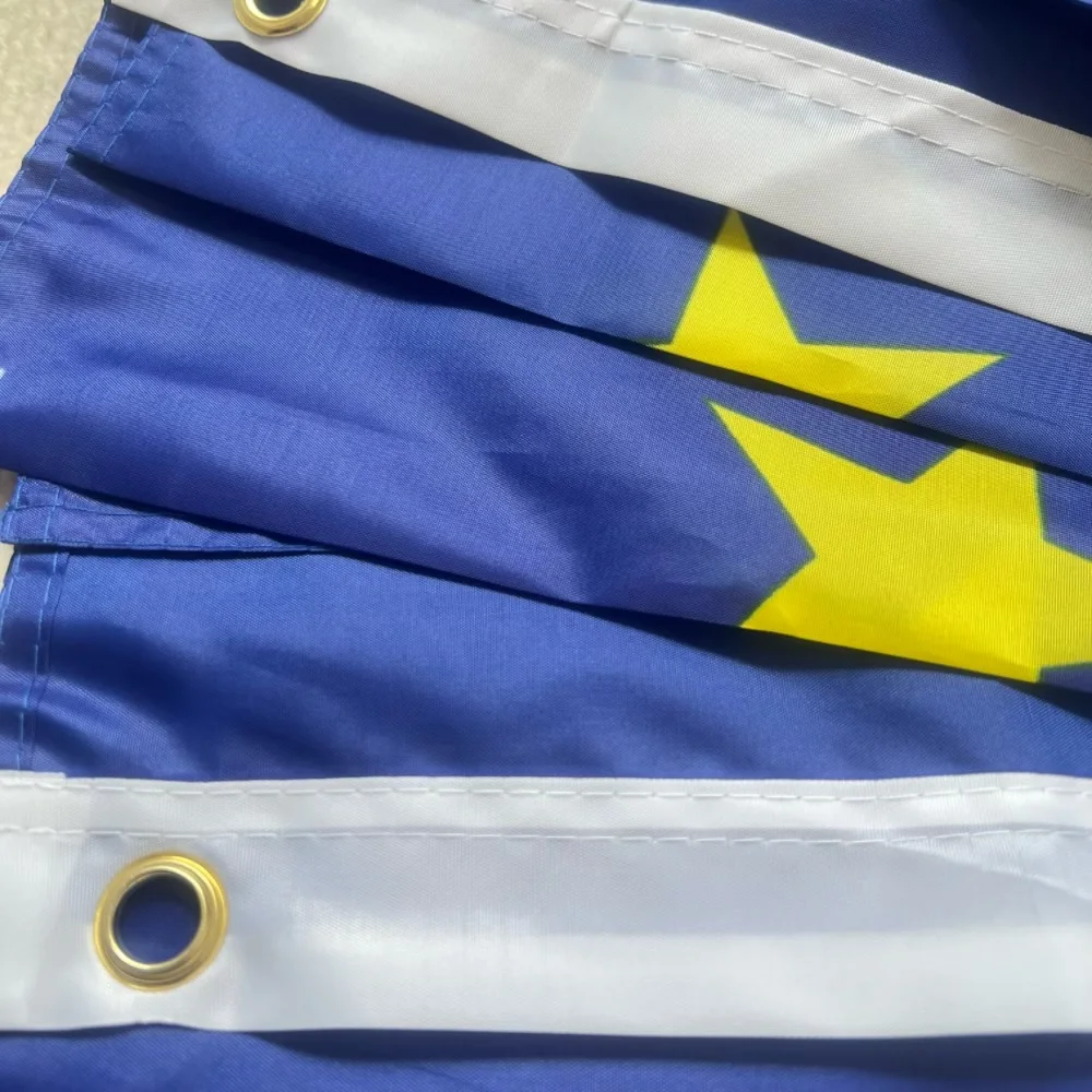 Bandera de la UE 90x150cm Bandera de la Unión Europea 90*150cm Bandera europea de Europa colgante de poliéster Bandera del Consejo de euros - imagen 4