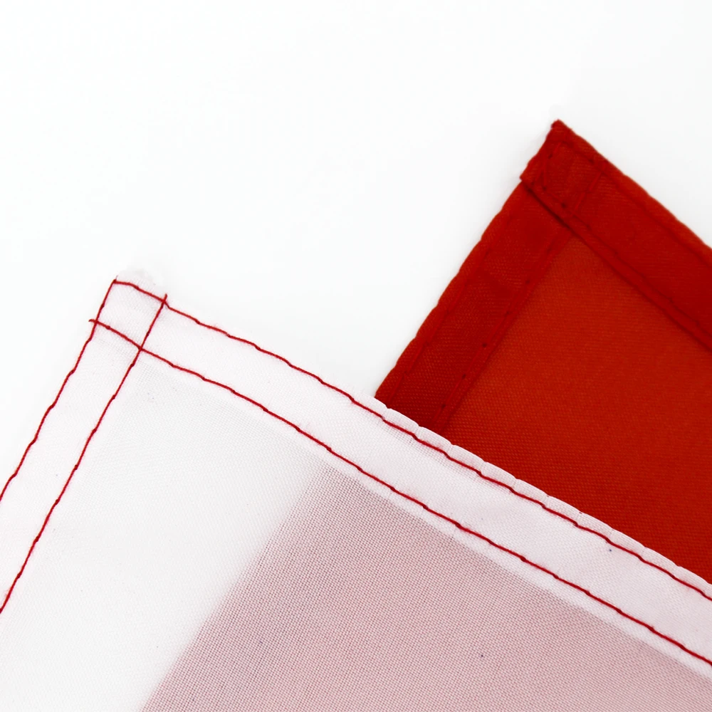 Bandera de Texas del Estado de EE. UU. 90x150 cm para decoración - imagen 4