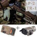 P-2 And TLR 1 DE