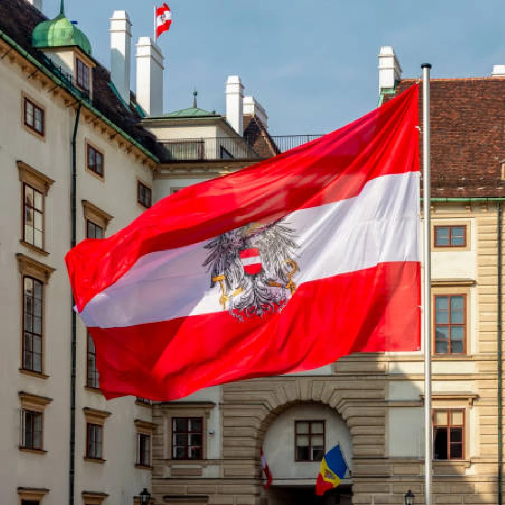 FLAGLINK 90x150 CM Bandera con emblema nacional de Austria para decoración