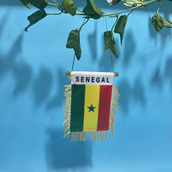 Bandera de Senegal SKY FLAG para coche, mini banderín colgante