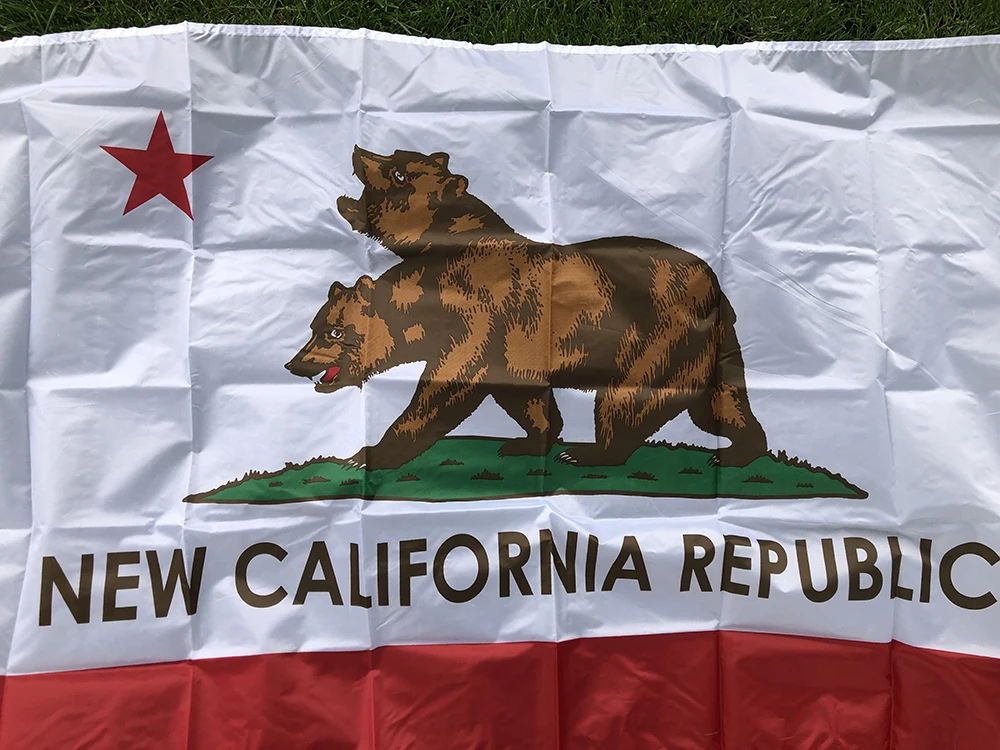 SKY FLAG Nueva bandera de California 90X150 cm poliéster impreso de doble cara colgante Nueva bandera de la República de California para decoración - imagen 3