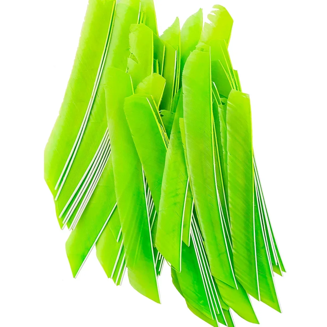 Plumas de flecha arco pavo real – Ala derecha 18-25 cm - imagen 3